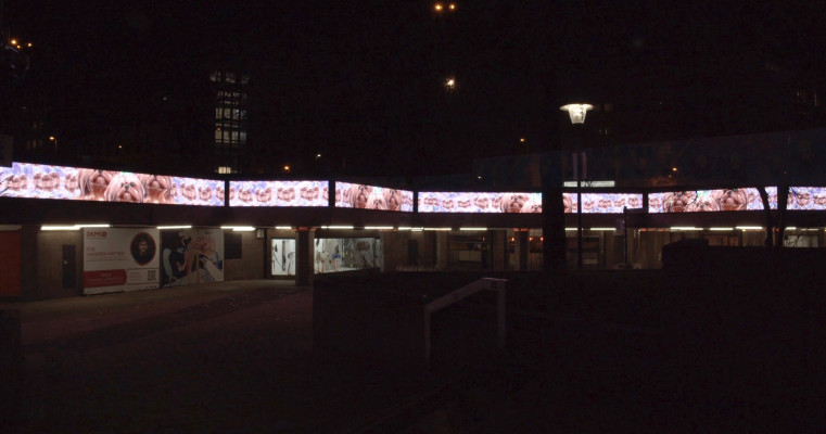 Open Call for Video Art | Fries TV Ebertplatz - Season 5